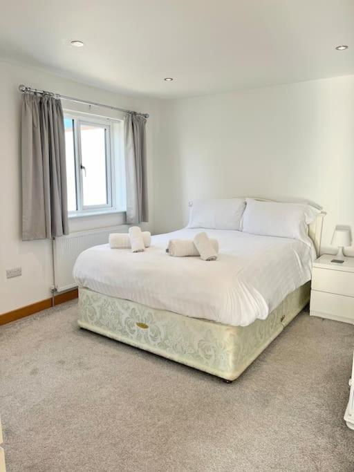 Caledonian House - Newquay Newquay (Cornwall)